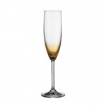 Daily Colours Champagne Flute Orange (Medium)