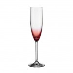 Daily Colours Champagne Flute Red (Medium)