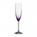 Daily Colours Champagne Flute Violet (Medium)