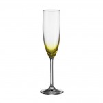 Daily Colours Champange Flute Yellow (Medium)