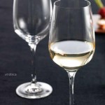 Vinoteca_Collection (Medium)