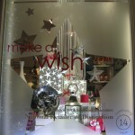 Make a Wish Holiday 2012 (Medium)